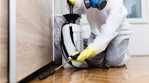 Best Pest Prevention Services  in Lawton, MI